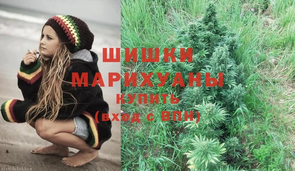шишки Вяземский